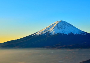 手机如何查社保卡号 手机查社保卡号怎么查询